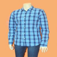 American Eagle Outfitters-Blue Check Shirt