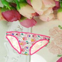 Bird Print Cotton Grey & Pink Panties Brief