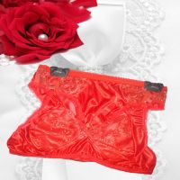 Bright Cherry Red Satin Bra Panty Set