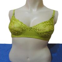 Enticing Thread Embroidered Adjustable Straps Light Green Bra