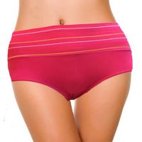 Feel Well-Smart Shaping Panty