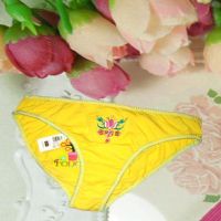 Floral Print Elastic Cotton Panties