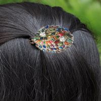 Golden Multicolor Crystal & Pipe Hair Barrettes Clip
