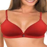 Hushh Hot Red Padded Lacy Bra