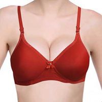 Hushh Red Padded Non Wired Bra