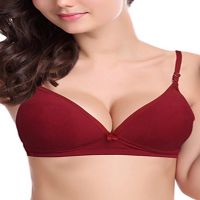 Hushh Maroon Light Padded Everyday Bra