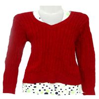 Sporty Maroon Women Pullover