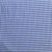 Raymond Blue/White Check Shirt Fabric
