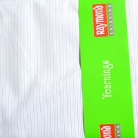 Raymond-Double Colour Stripes Polycotton White Shirt Fabric