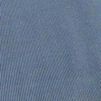 Raymond Light Blue Linning Shirting Fabric