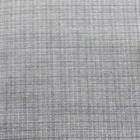 Raymond-Light Grey Shirt Fabric