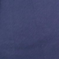 Raymond - Navy Shirting Fabric