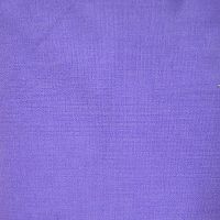 Raymond -Plain Dark Purple Shirting Fabric