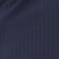 Raymond-Premium Navy Blue Lined Trouser Fabric
