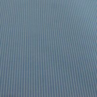 Raymond White & Light Blue Linning Shirting Fabric