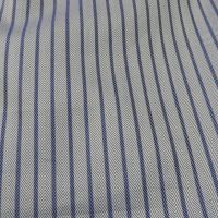 Raymond White & Blue Self Linning Shirting Fabric