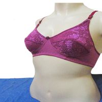 Sensous Magenta Embroidered Flower Print Bra