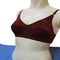 Sensual Maroon Embroidered Flower Print Bra