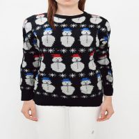 Sussan Women Knitted Printed Round Neck Sweater