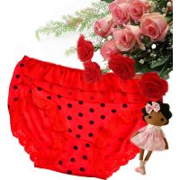 Smashing Red Laced Bridal Brief