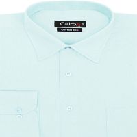 GREEN SOLID EXECUTIVE FORMAL SHIRT