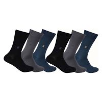 Seasons Multicolor Cotton Socks - Pack of 6