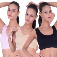 Comfy Pack Of 3 Sports Bra