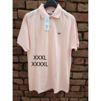 Seasons Collared Men T Shirt