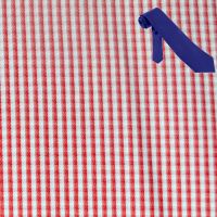 Raymond Men Poly Blended Shirt Fabric Multi Free Tie