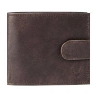 Seasons  Brown Formal Regular Wallet