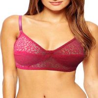 Pack Of 2 Shilpa Everyday Wear Women Bra