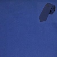Raymond Men Shirt Fabric Blue Free Tie