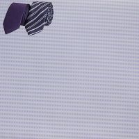 Raymond Men Shirting Fabrice Purple Free 2 Tie