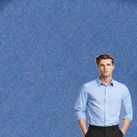 Raymond Men Suit Fabric Blue Free Shirt