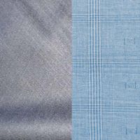 Raymond Men Trouser & Shirting Fabric Multi