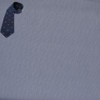 Raymond Men Shirting Fabric Blue Free Tie